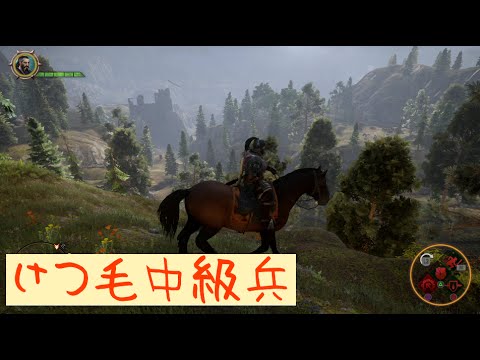 ドラゴンエイジ インクイジション 実況 番外編 ゲームシステムや個人的感想 Ps4 Dragon Age Inquisition けつ毛 3 Youtube