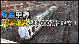 【甲種輸送】静鉄A3000系甲種輸送・羽沢で71レ待避