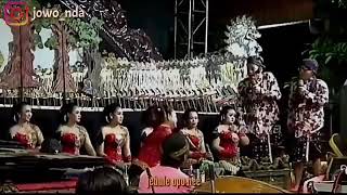 Cak Percil Wedokan Jancuk