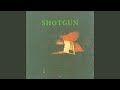 Shotgun