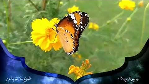 سورة يوسف الشيخ علاء المزجاجي