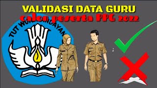 cara cek validasi data pusdatin