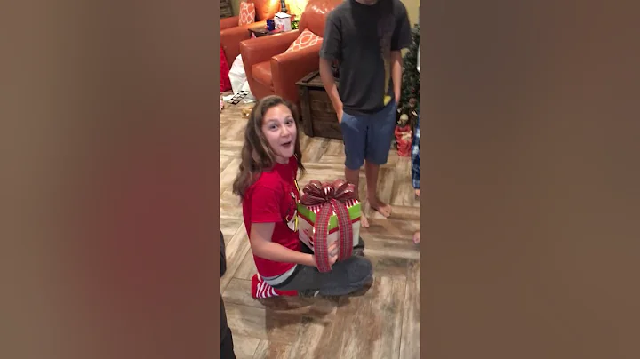 Kirkland Christmas 2018 new puppy