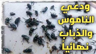 طريقه التخلص من الذباب والناموس والهاموش بدون مواد كيميائية بمكونات من مطبخك .