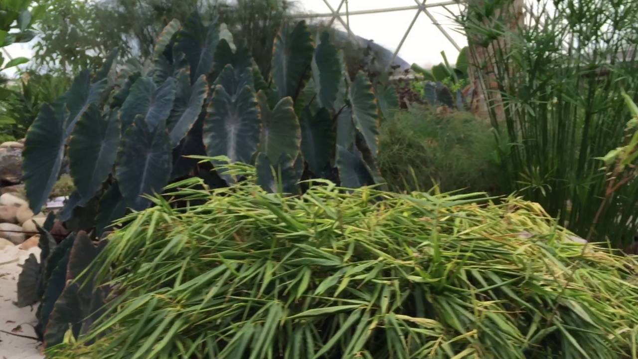 mainlander Living With The Land