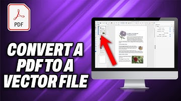 How To Convert a PDF To a Vector File- Quick Help
