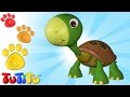 - Apprendre les noms d'animaux avec TuTiTu | Tortue Et Autres Animaux