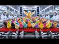 (Full Process) Inside a Mega Hatchery: How Millions of Eggs Become Food