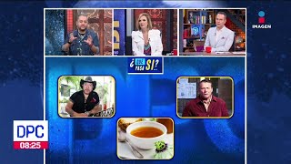 Qué Pasa Si Juntamos A Carlos Trejo, Alfredo Adame Y Un Té? De Pisa Y Corre