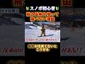 スノボ初心者が板の反発を使って飛べないその理由とは?答え合わせは本編で!#スノーボード #スノボ #グラトリ