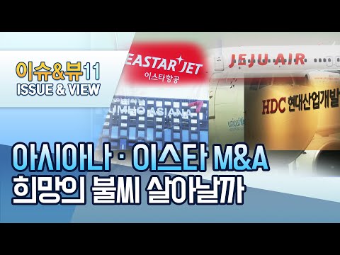 [뉴스후] 상반기 넘긴 아시아나 ㆍ이스타 M&amp;amp;A…불씨 살아날까 / 머니투데이방송 (뉴스)