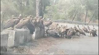 Famous 31 August 2024 Wealth