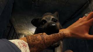 Far Cry 3 Lost Expedition Testing Unit