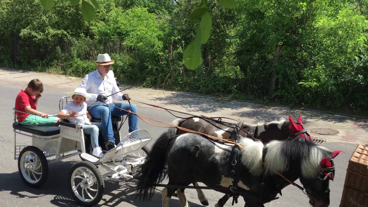 Parada konna ulicami Pniew. Dni Pniew. 19.06.2016r.