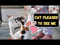 Adorable ways cats greet humans and what it means