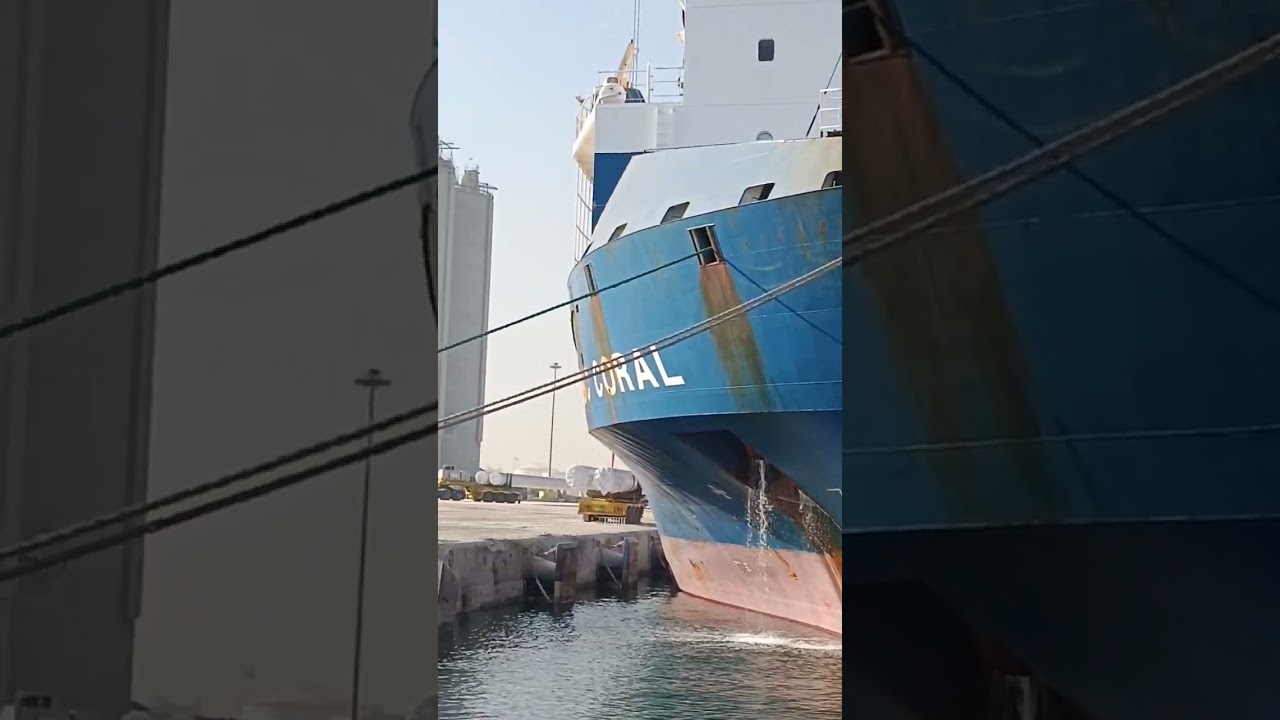 BBC CORAL  HEAVY LIFT