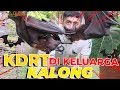 PERTENGKARAN KELUARGA KALONG