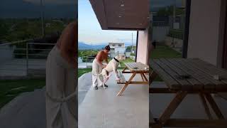 Dog’s Leg Uncontrollably Reacts to Owner’s Back Scratches