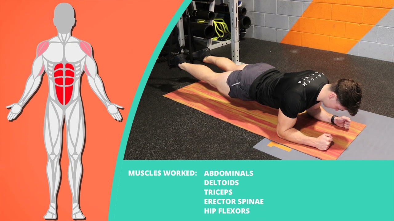 How To Do TRX Plank | Exercise Demo - YouTube