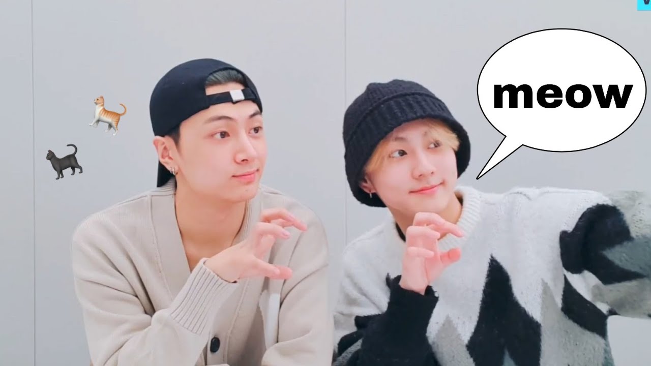 [엔하이픈 제이&정원] 야옹즈가 말해주는 서로의 첫인상 / 220422 라이브 편집본