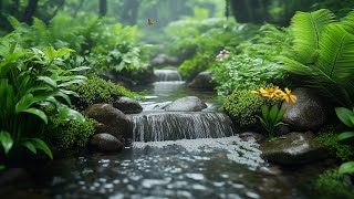 🌵 Calming Ambient Melodies 🌿 Reduce Anxiety &amp; Refresh the Mind