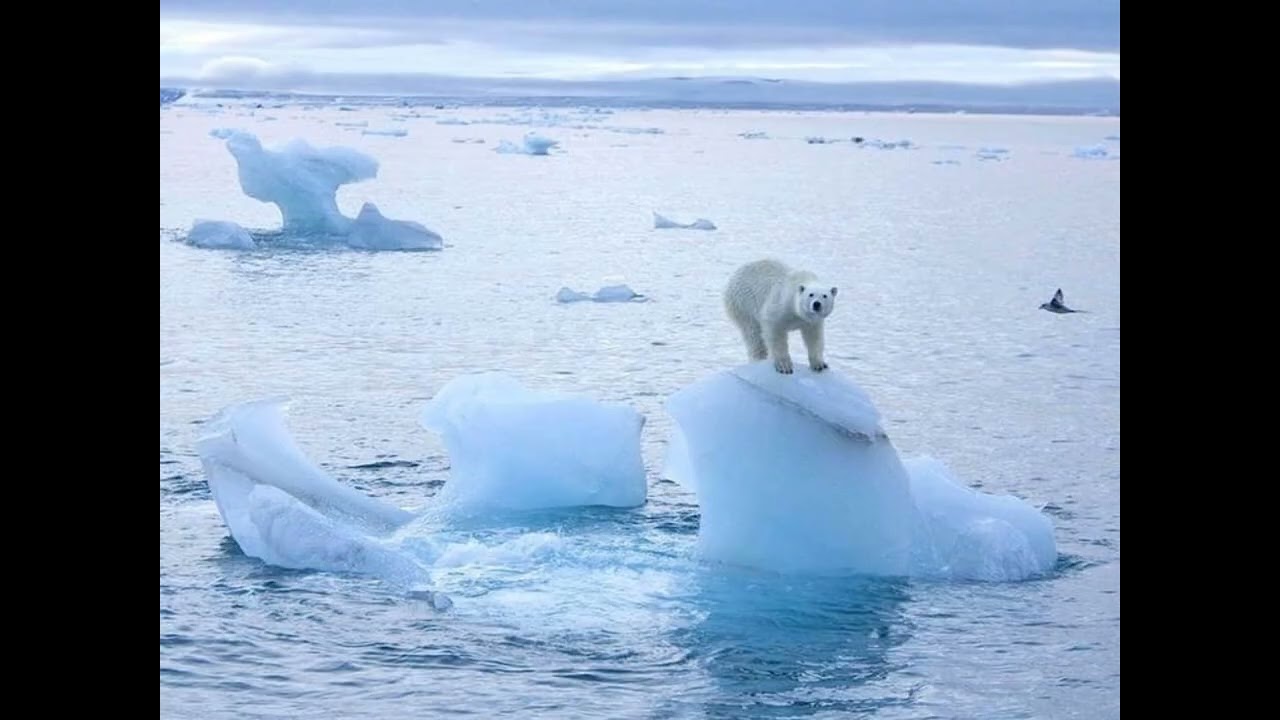 Grade 4 : Unit 8 ; Nature alert!