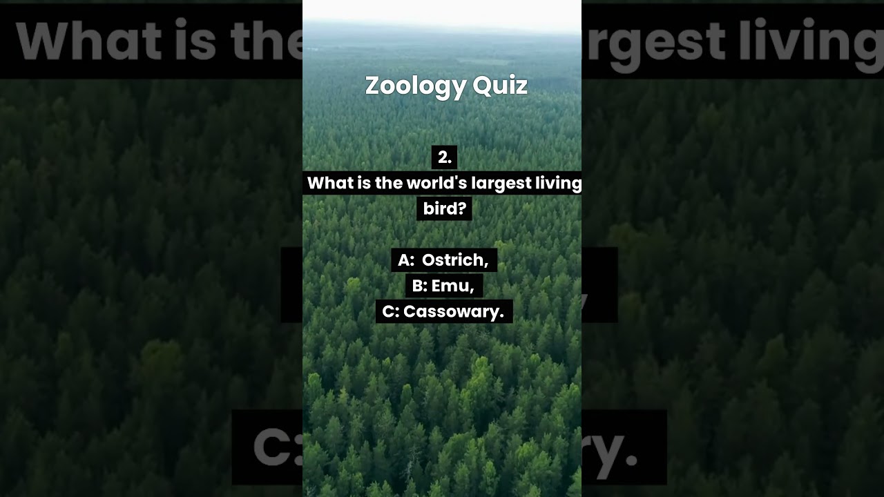 Zoology quiz 2