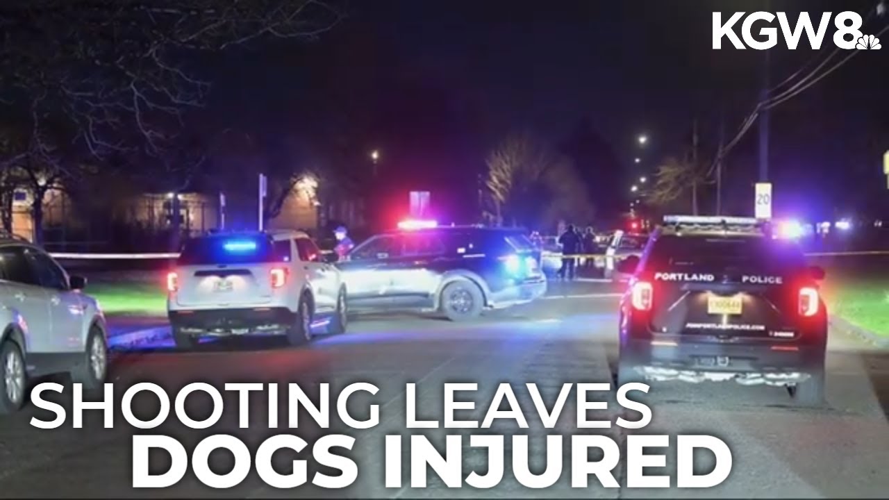 2 dogs injured in Southeast Portland shooting - YouTube
