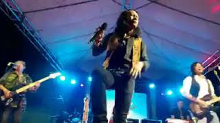 Download Lagu Doel Sumbang - Ai (Cover) by Gimme Shelters Live at Panaitan MP3