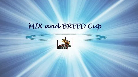 1.Mix&Breed Cup 2015