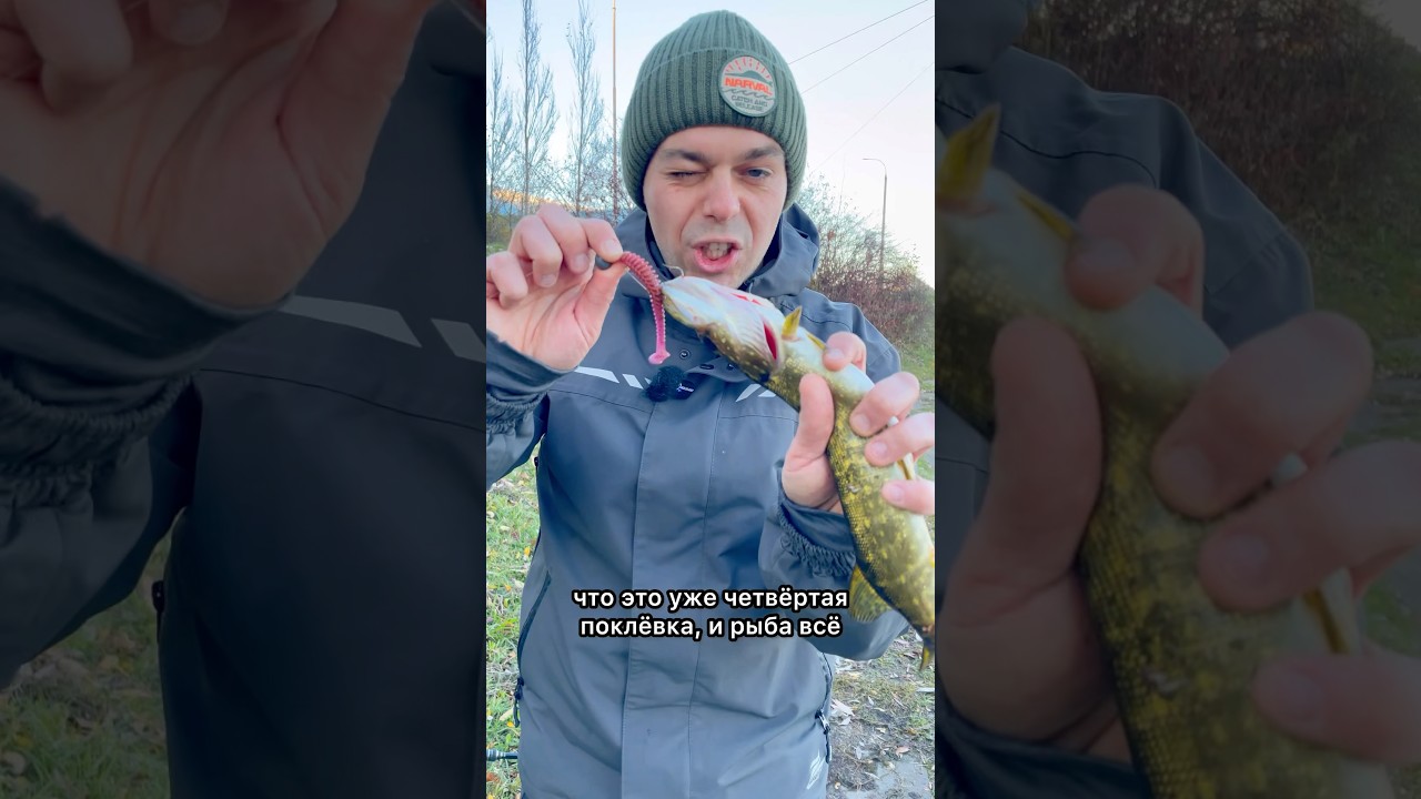 Офсетный крючок только для экстремальных условий 