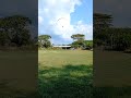 Strong wind landing #adventure #planetearth #nature #paragliding #strong #wind