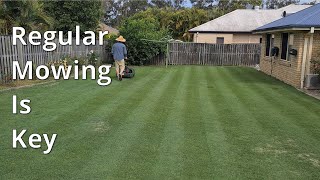 Regular Mowing Is Key to a Great Lawn