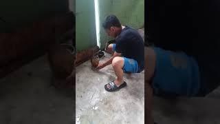 Jjyyg