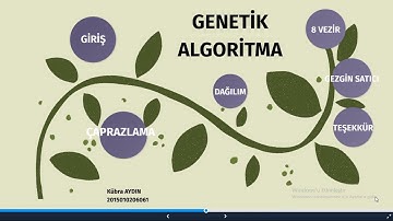 Kübra AYDIN-Genetik Algoritma