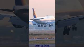 #shorts B747 Lufthansa BUTTER landing at Frankfurt Airport #planespotting #aviation