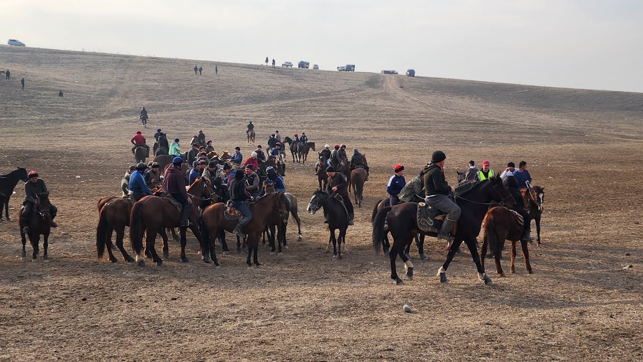 Базар коргон  шаары Аркалык айылы Айтиев Элдиярдын баласына берген Аламан улак 15 январь 