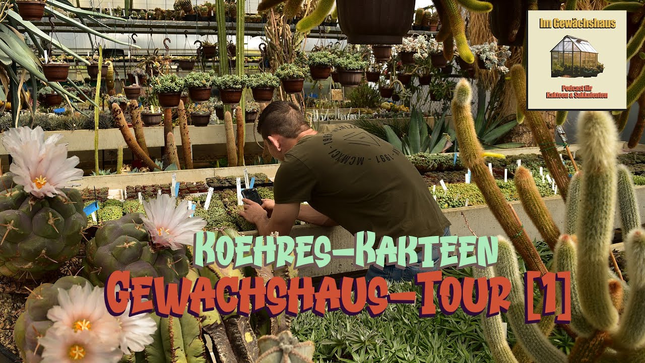 Besuch in der grten Kakteen-Saatgut Grtnerei Deutschlands | Gewchshaus  Tour (1/?)