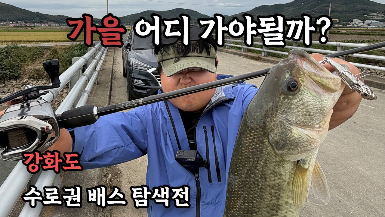 배수가 되는데도? 무빙베이트로 마릿수 확인 완료!!