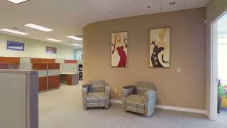 5550 Executive Dr. St: 450 Tampa, FL  33609