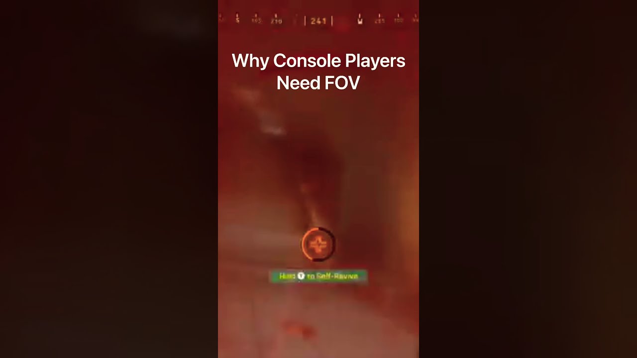 Why Console Players need FOV for Warzone [Rebirth Island Field of View] 