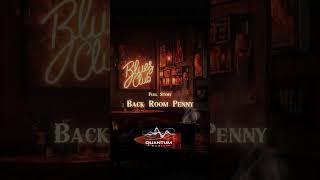 Quantum Music | Roots Blues Series | Back Room Penny - Full Story #instrumental #grooveoftheday