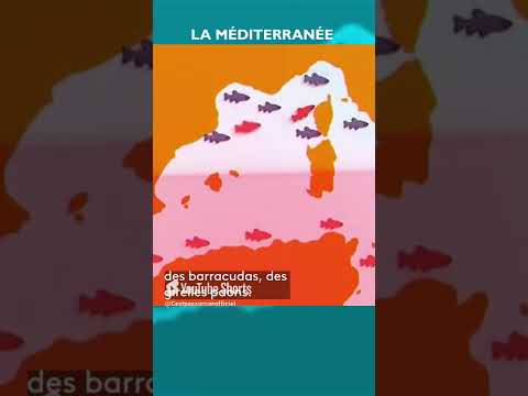 #science #jamy #experience