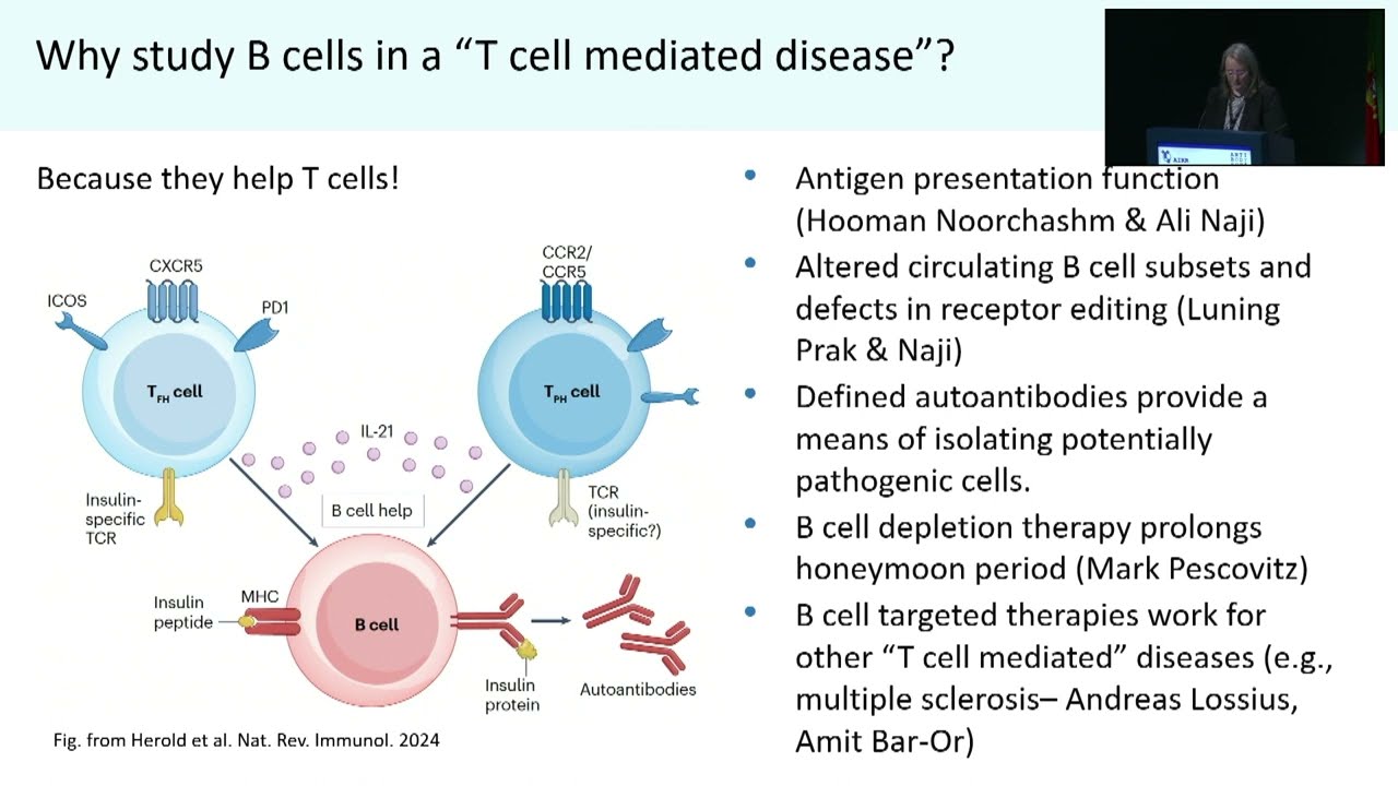 AIRRC7 - Identification of pathogenic B cells in type 1 diabetes (N. Luning Prak)