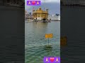 #wmk #sikhtemple #harmandirsahib #sikhprayer #gurbani