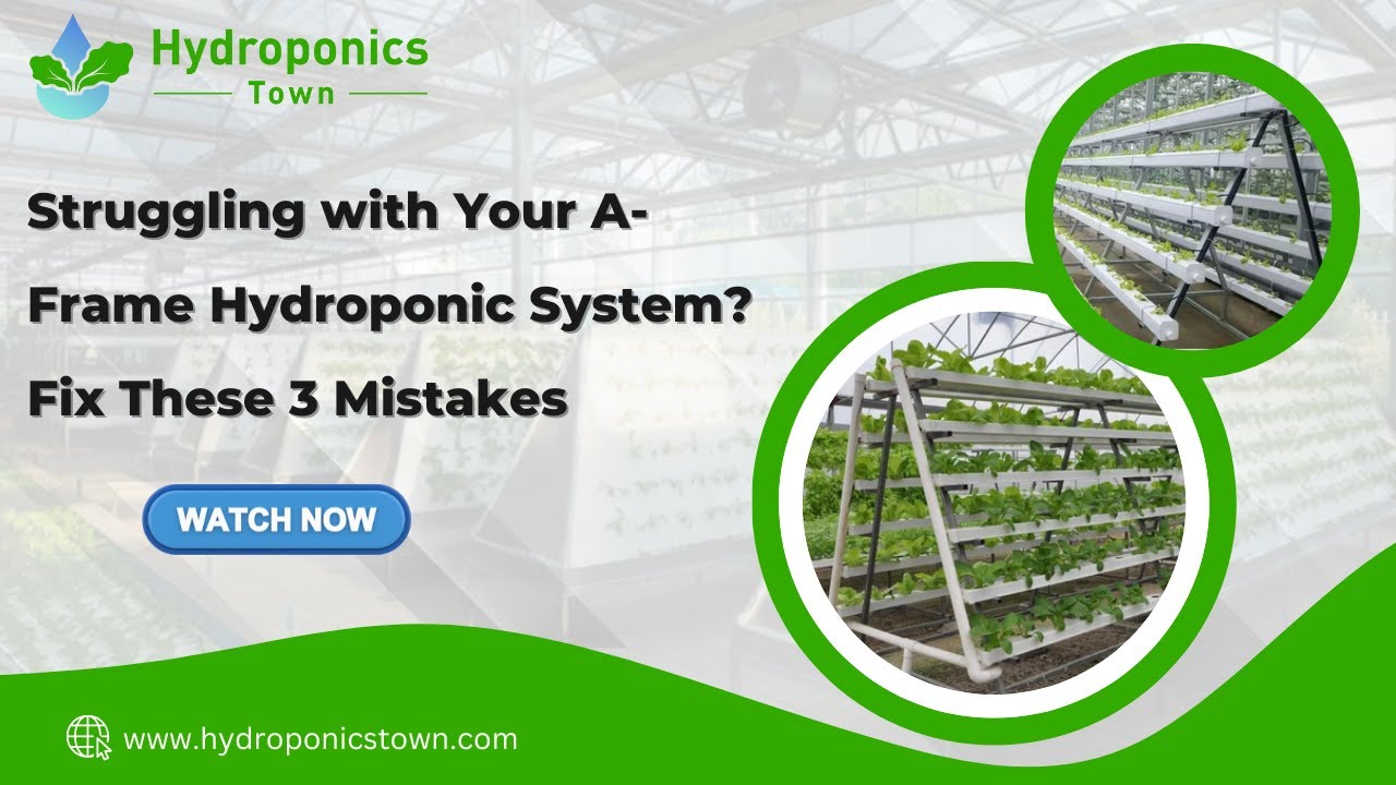 Struggling with Your A-Frame Hydroponic System? Fix These 3 Mistakes - HydroponicsTown