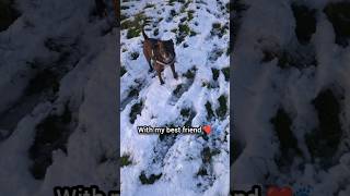 Snowy Sunset Walk With Kizzy