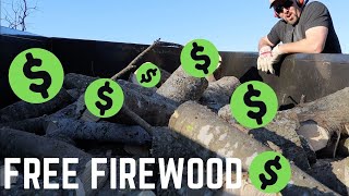 More FREE Money - Free Firewood Score + Why I ALWAYS Carry More Than One Chainsaw