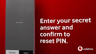 HOW TO RESET YOUR VF CASH PIN