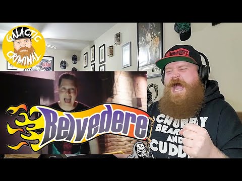Belvedere - Liability - Reaction / Review